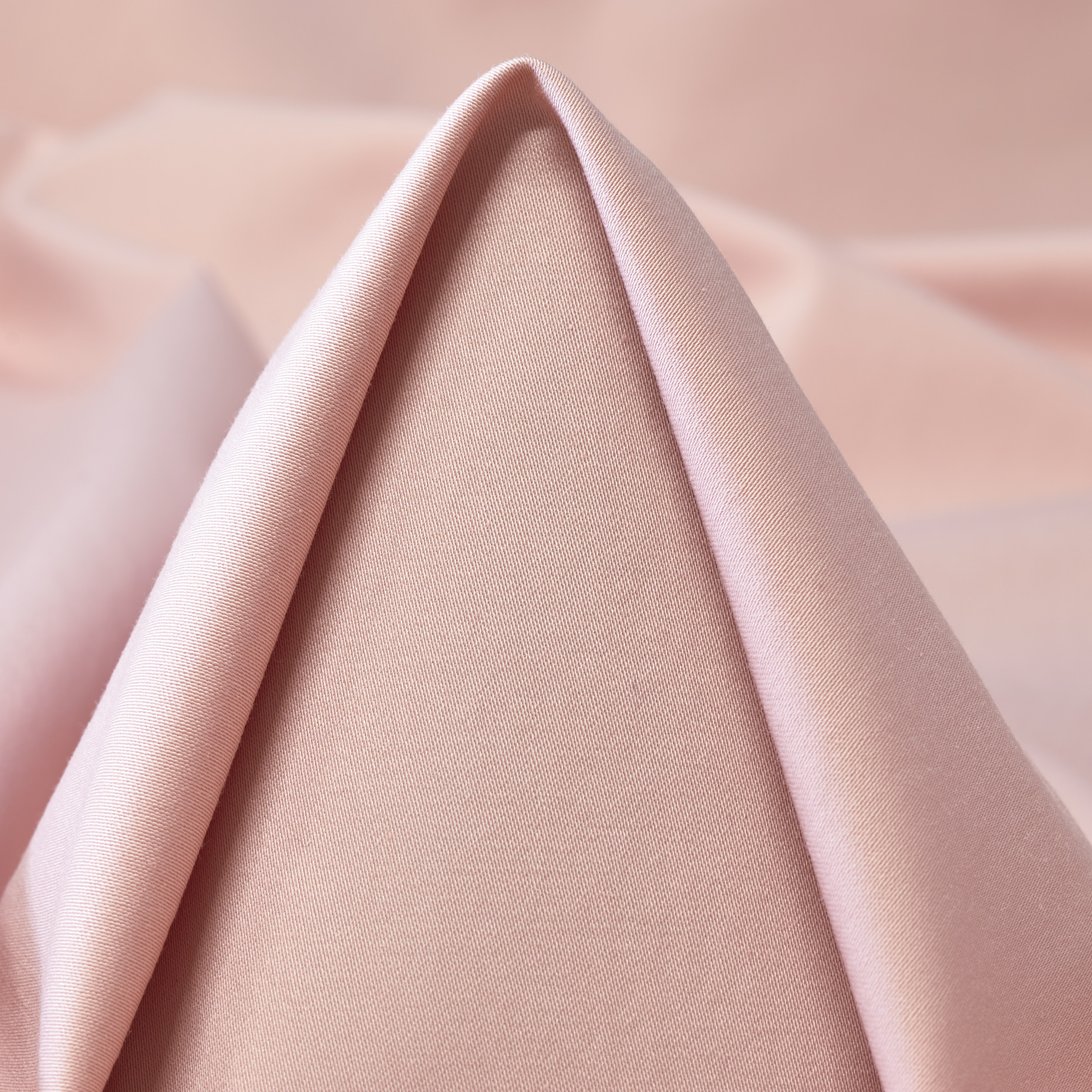 Poplin Cotton Elastic Rosewater