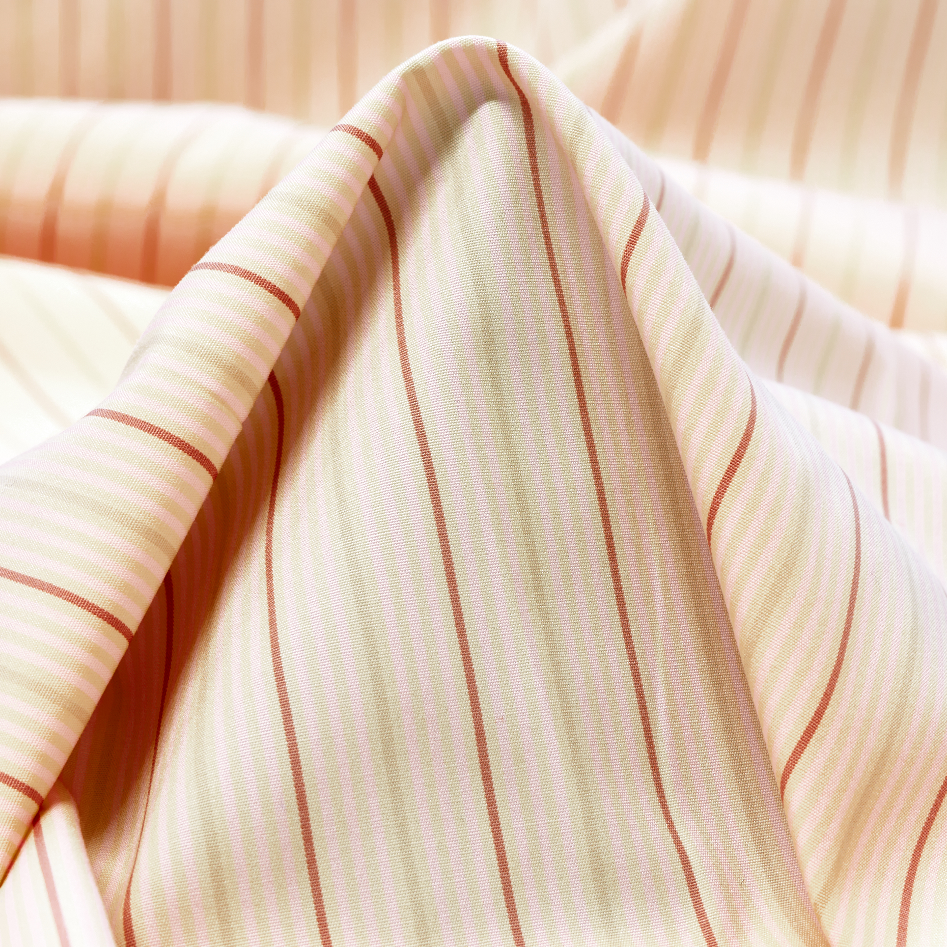 Poplin Cotton Stripes Rose Water