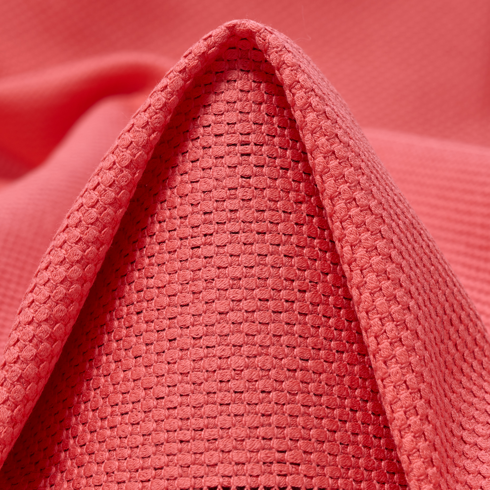 Cotton, Deep Sea Coral